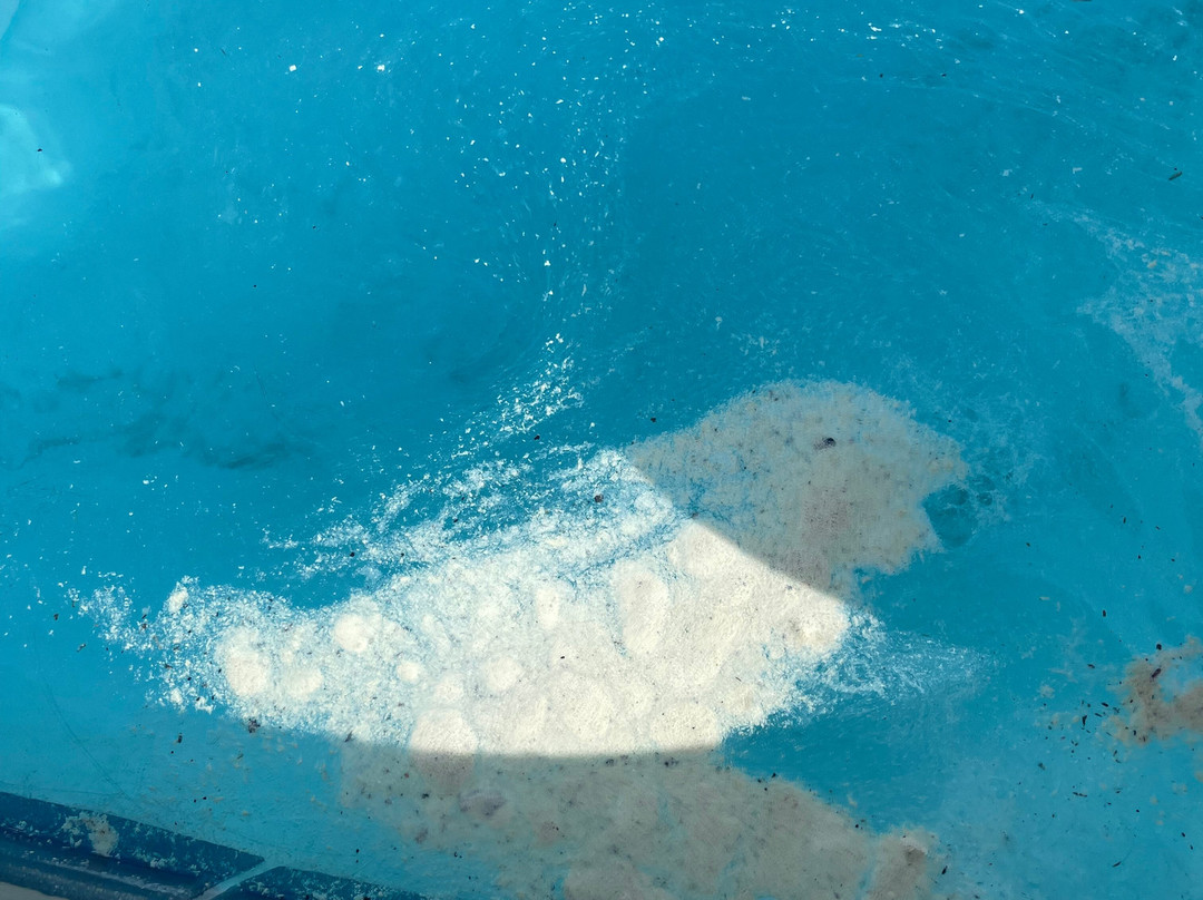 大西洋海滩希尔顿恒庭旅馆及套房酒店主图