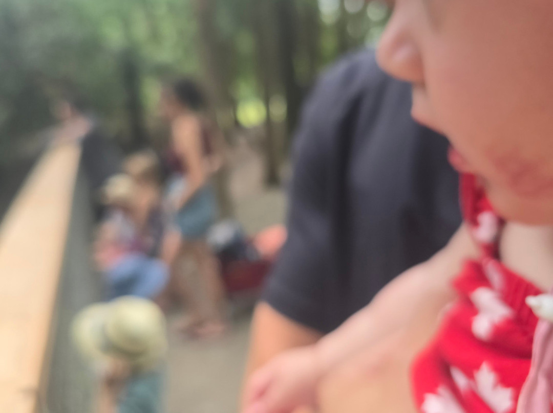 Elmvale Jungle Zoo-Elmvale必去景点