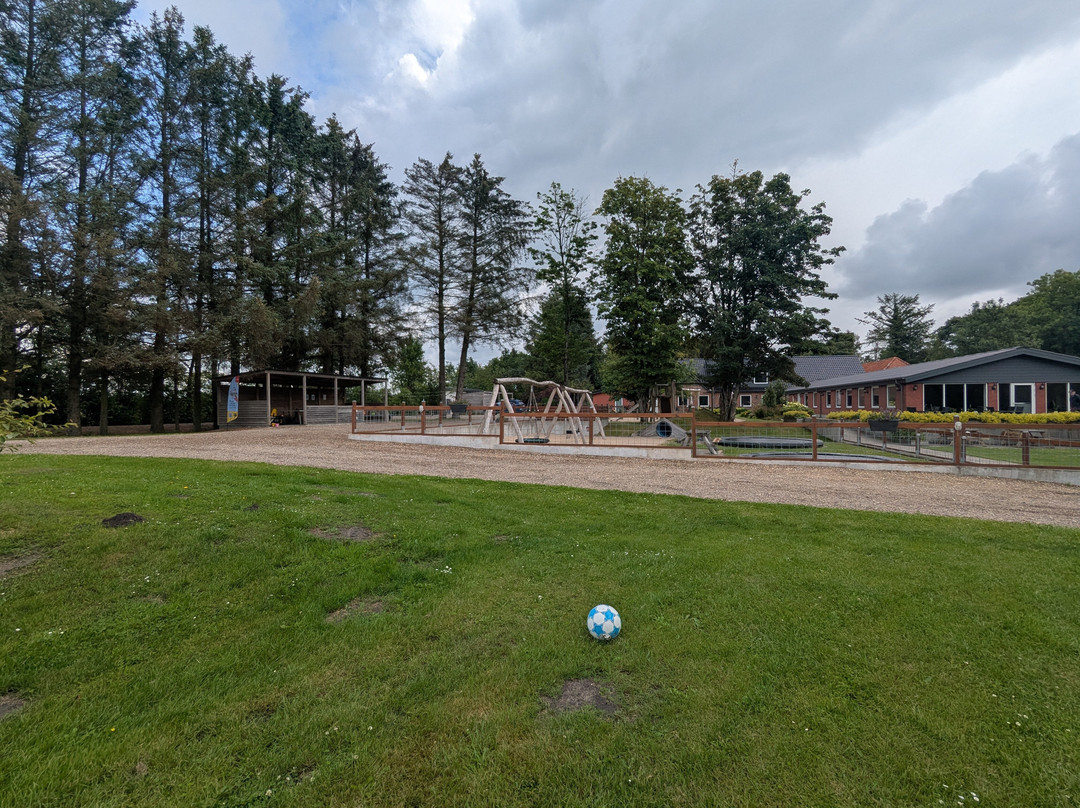 Loasen Vesterhede主图