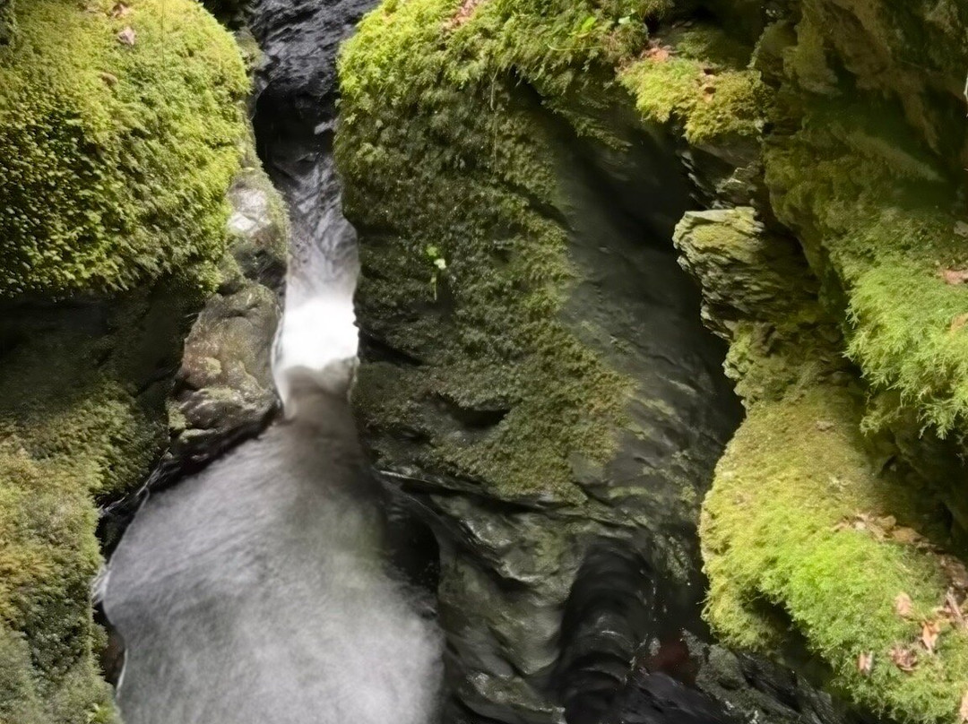 Moorcote Country Guest House, Moretonhampstead, Dartmoor主图