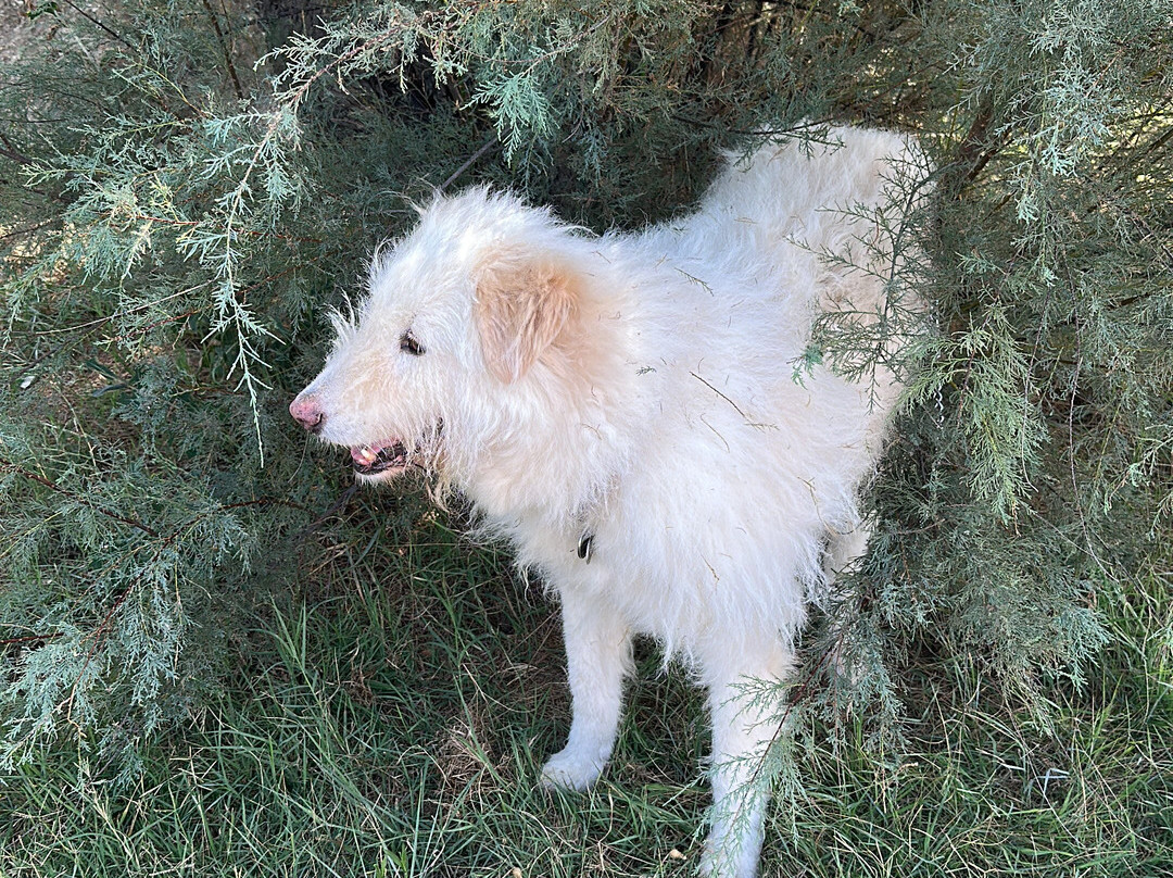 Hotel Portofina主图