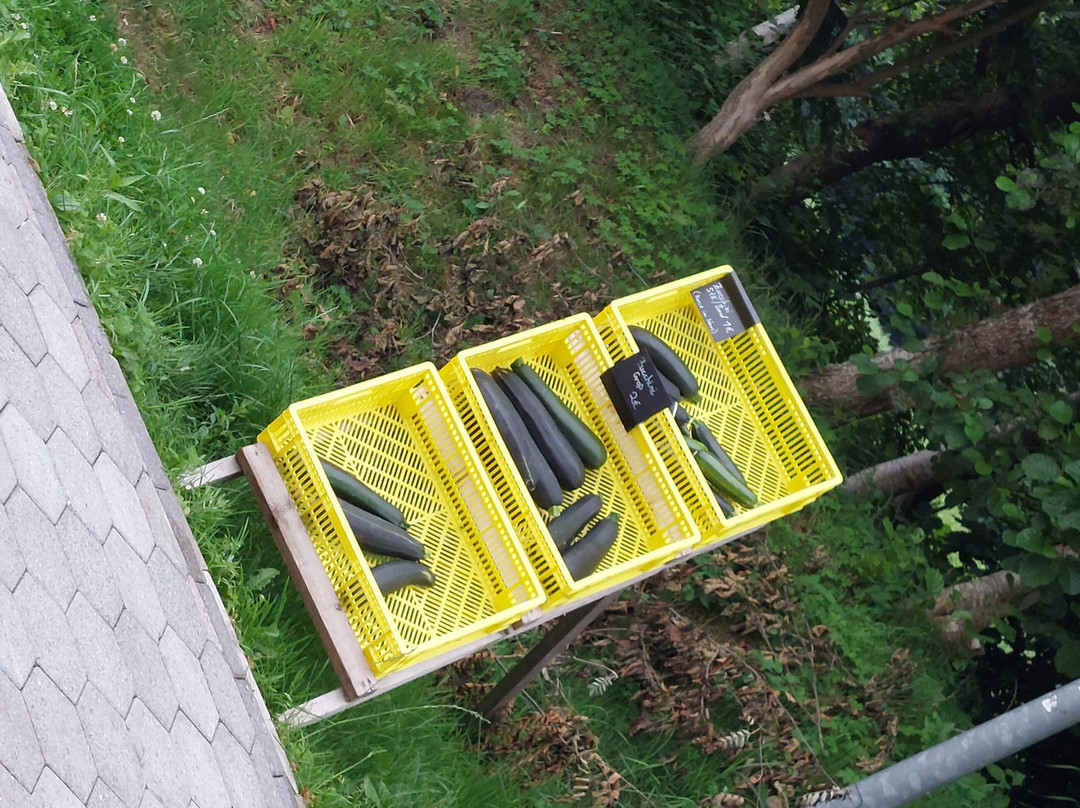 Hofladen Am Wald-Aurich必去景点