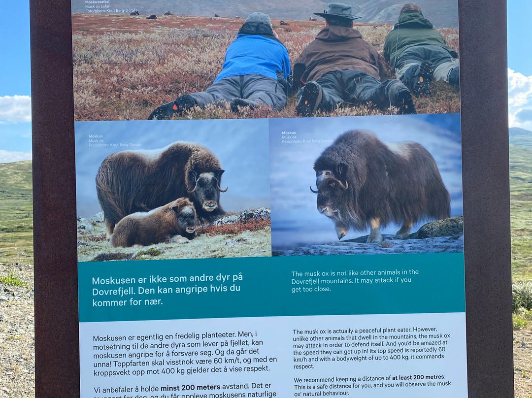 Viewpoint Snøhetta Visitor Centre Wild Reindeer-Hjerkinn必去景点