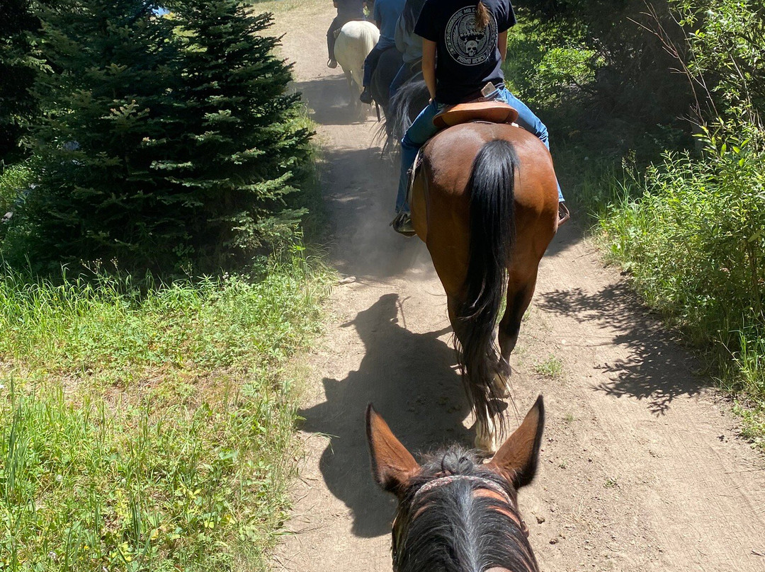 Wild West Yellowstone Rodeo-西黄石镇必去景点