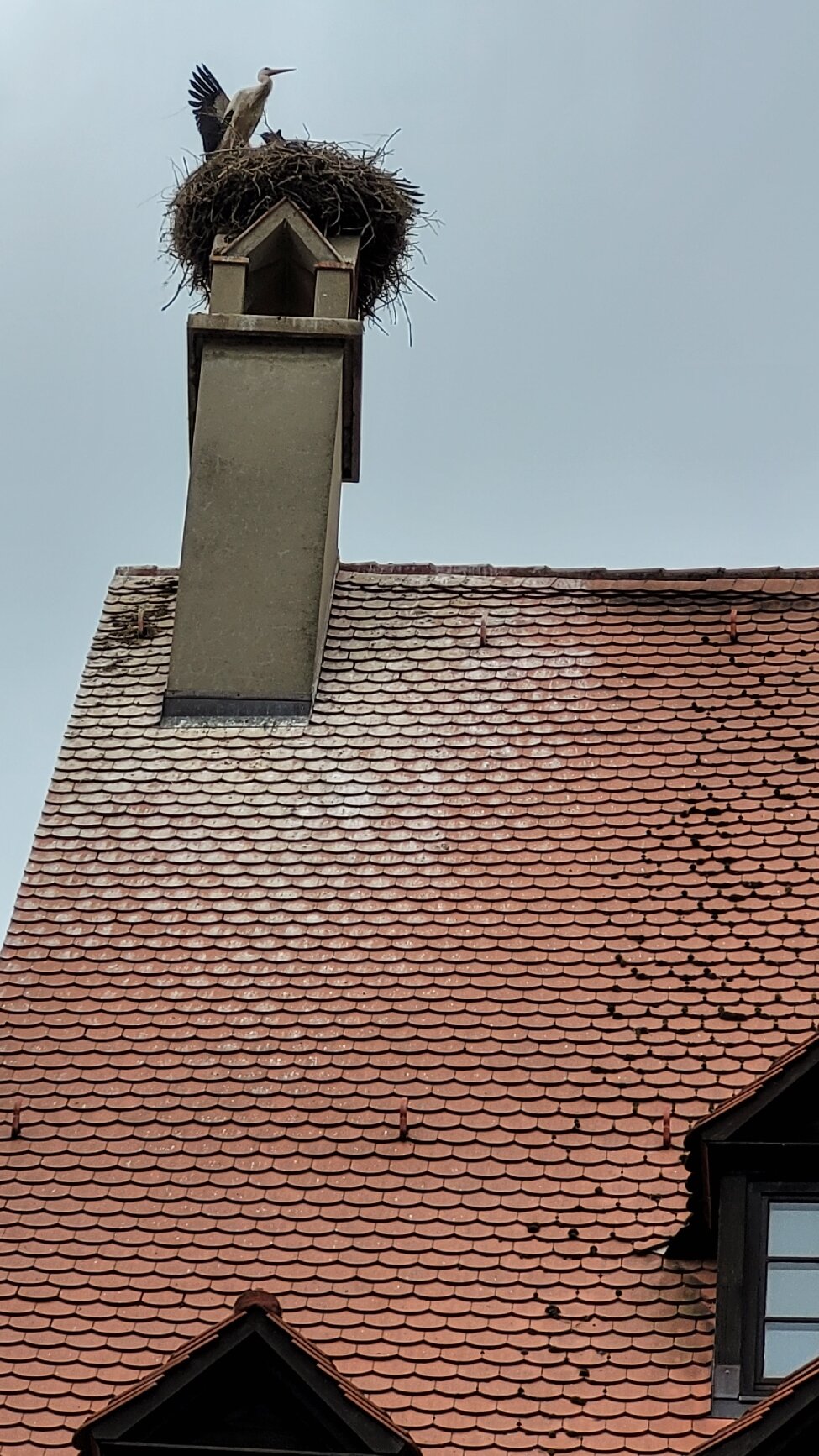 Hotel Martin Am Dom-官方