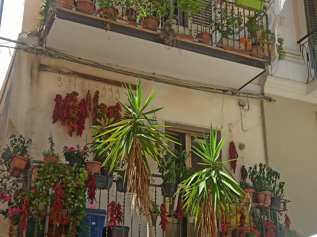 Murales-迪亚曼泰必去景点