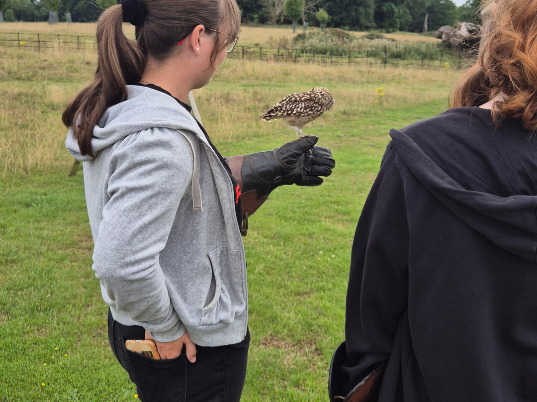 Kent Falconry Centre-Throwley必去景点