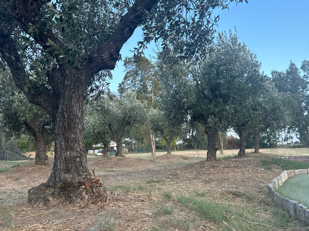 Sibari Avventura-Sibari必去景点