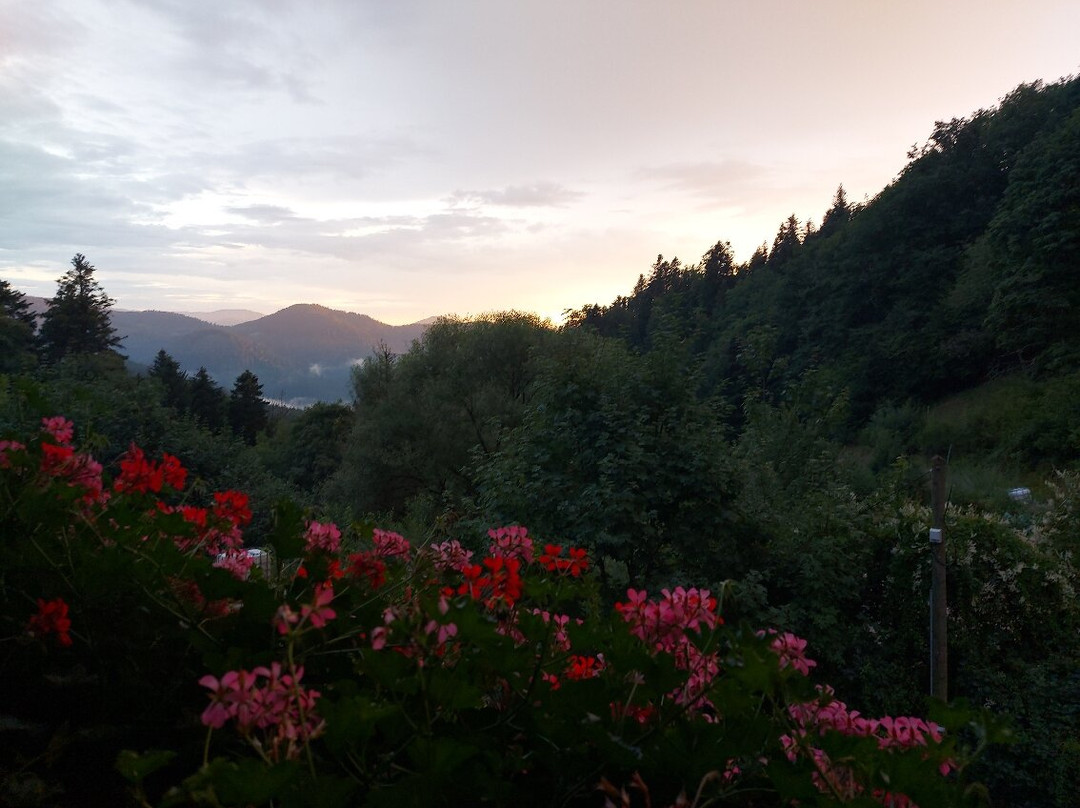 Pension Erzwaesche主图