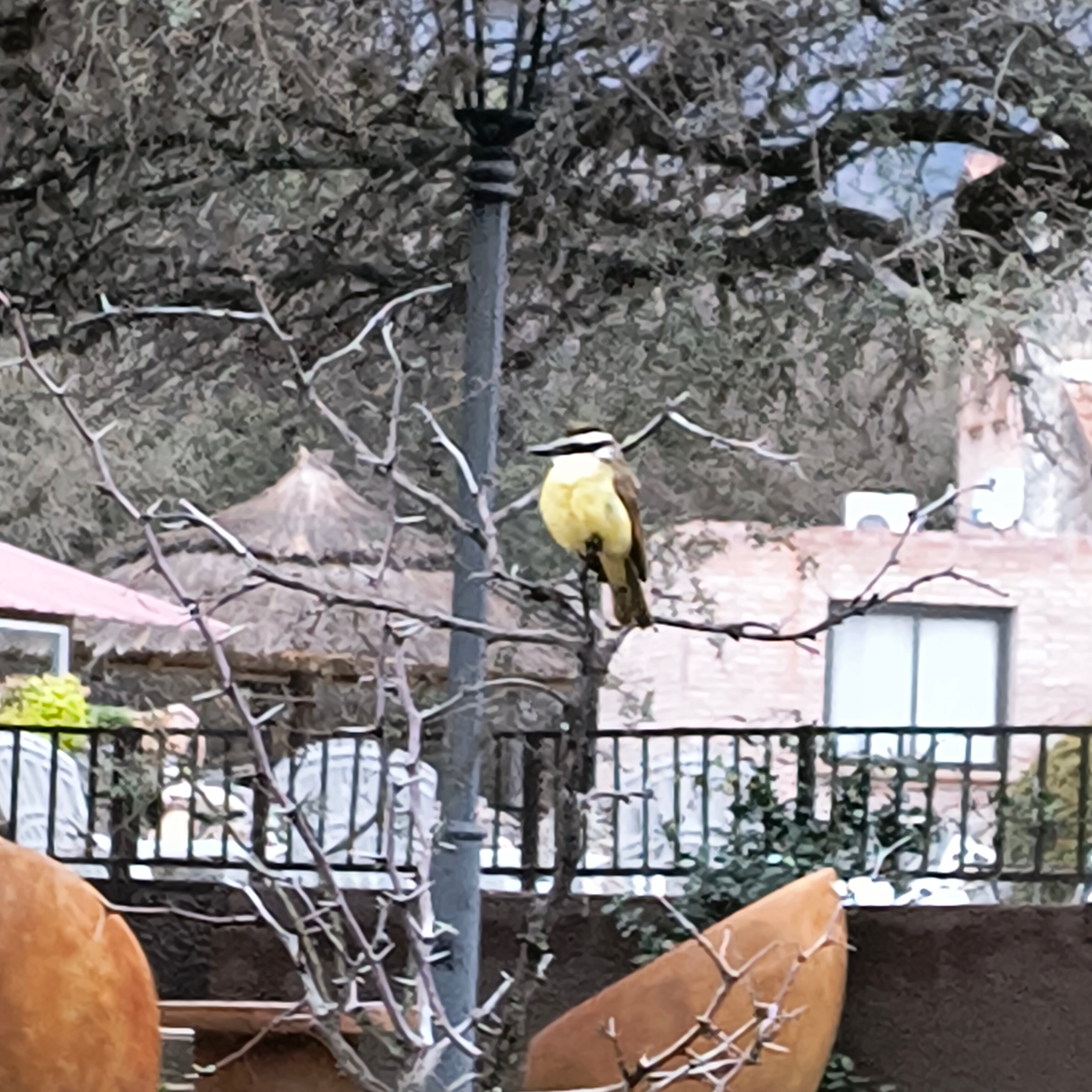 La Quinta Resort-官方