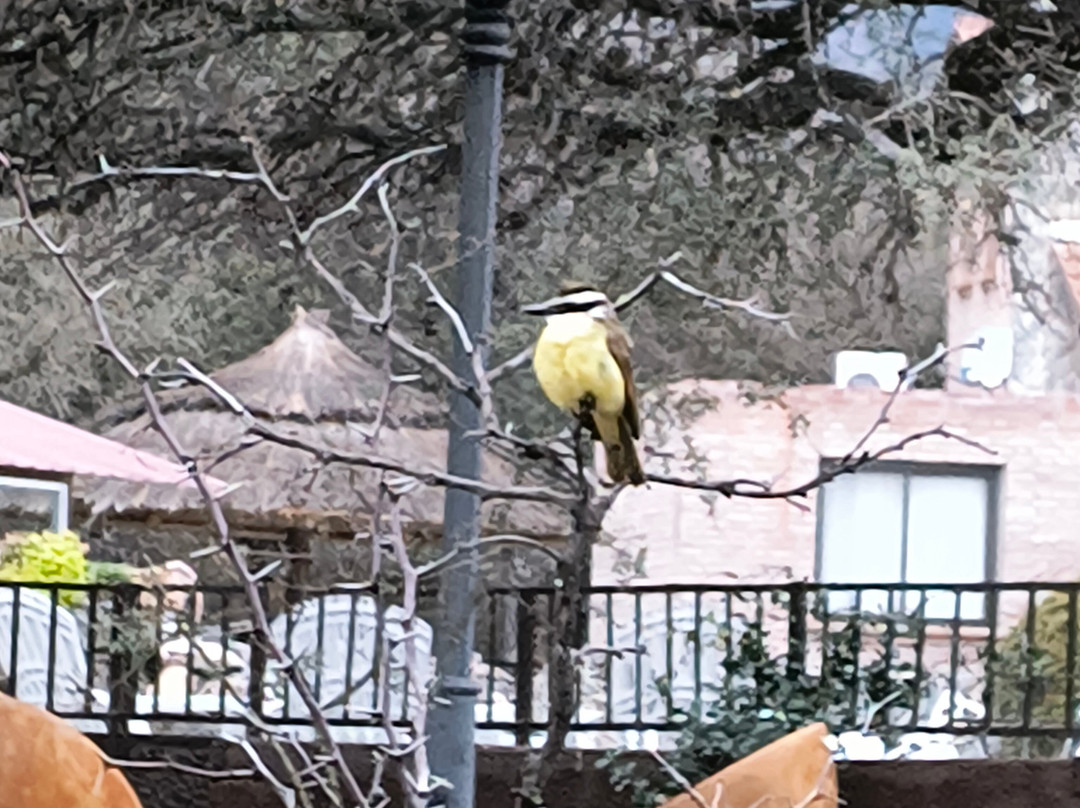 La Quinta Resort主图