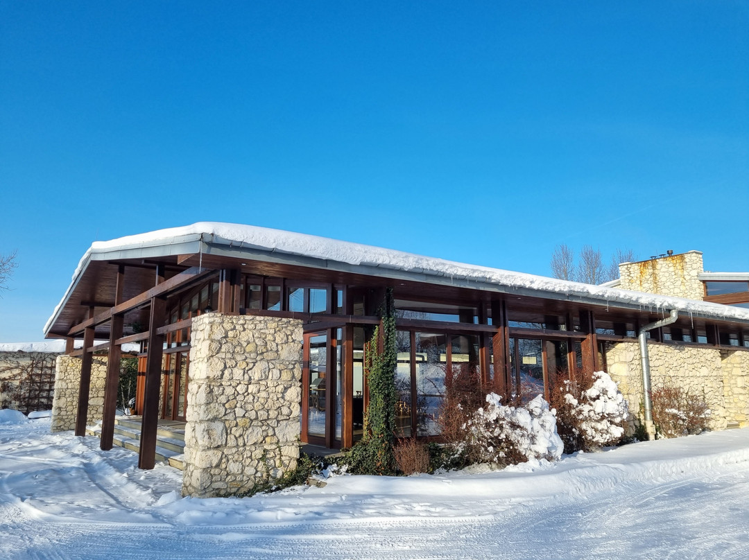 Dwór W Tomaszowicach主图