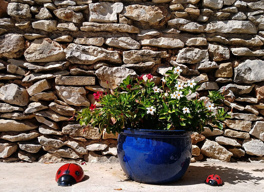 Bastide des Demoiselles主图