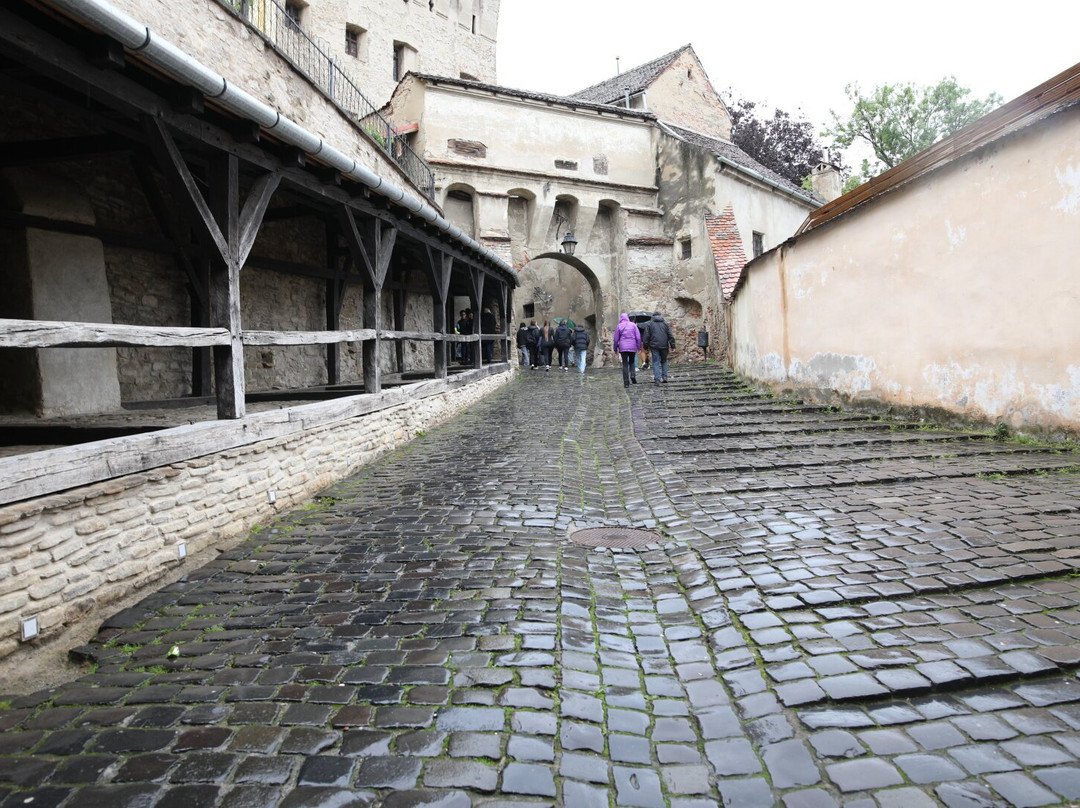 Culoarul Bătrânelor Doamne-锡吉索拉必去景点