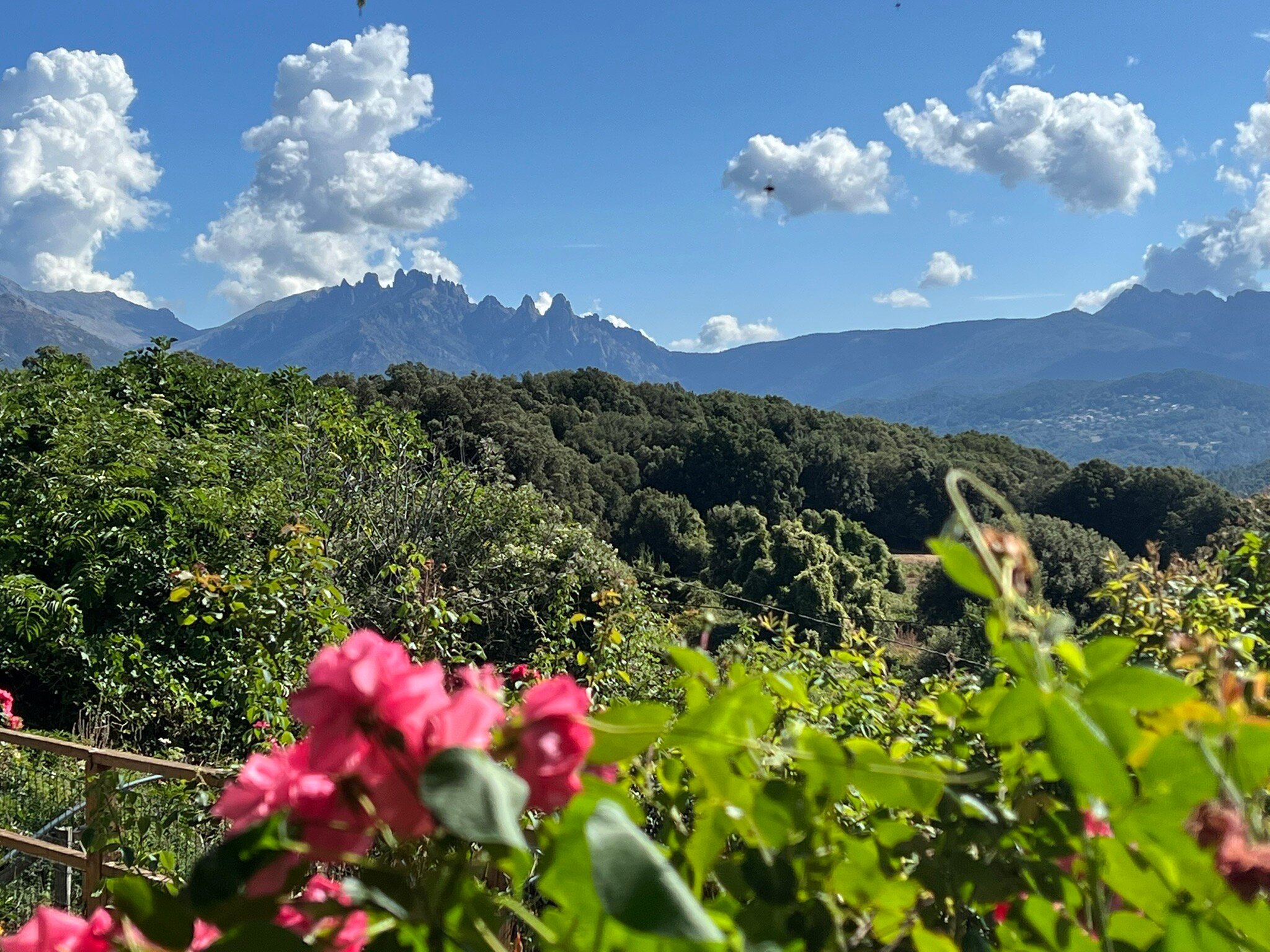 Chambre d'Hôtes Riccu-官方
