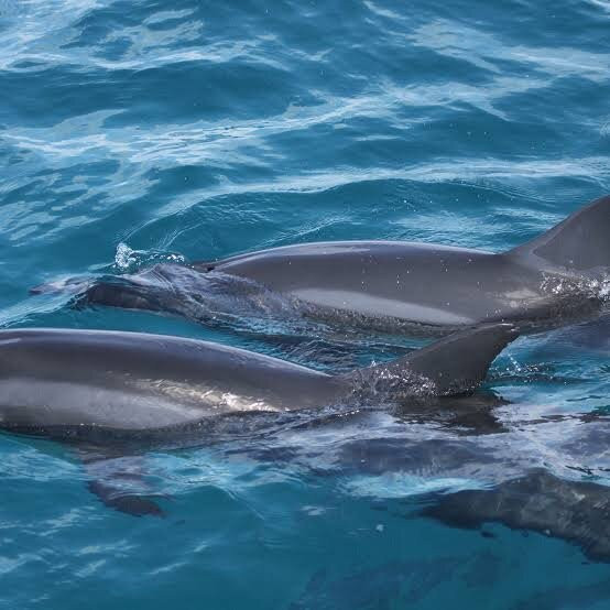 Slow Travel Noronha-Vila dos Remedios必去景点