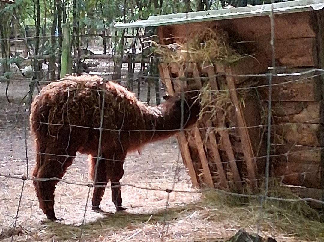Ferme-Rieumes必去景点