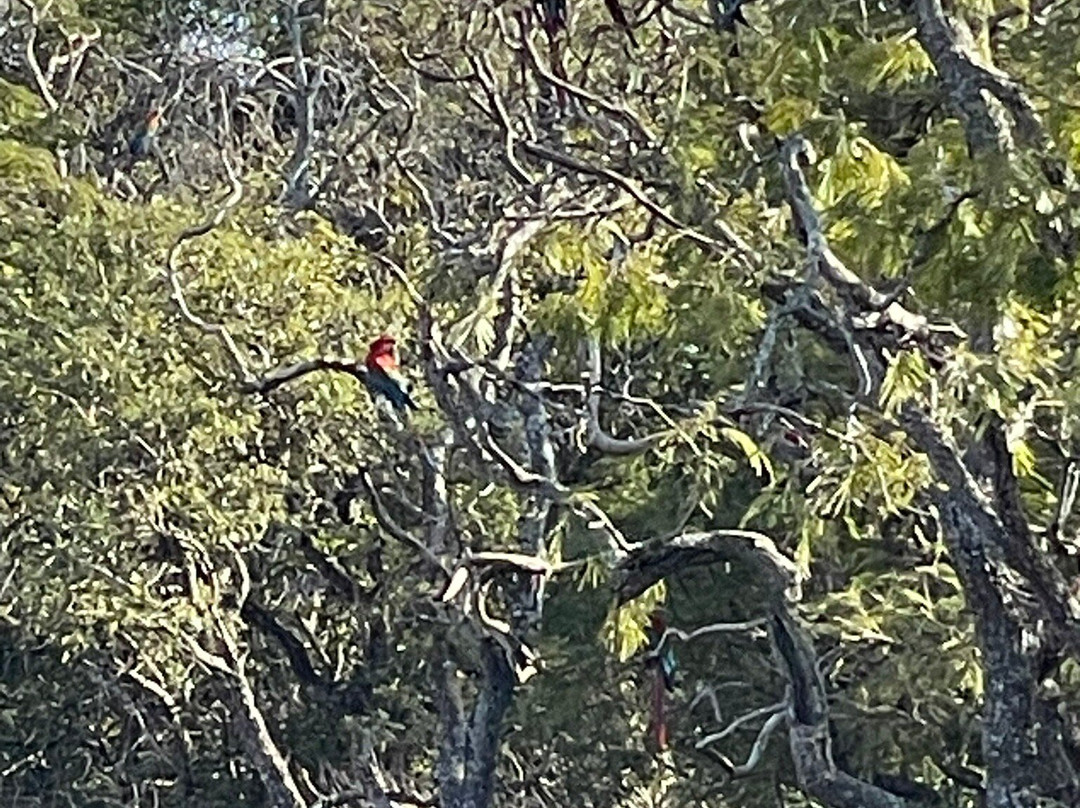 Buraco das Araras Ecoturismo-雅尔丁必去景点