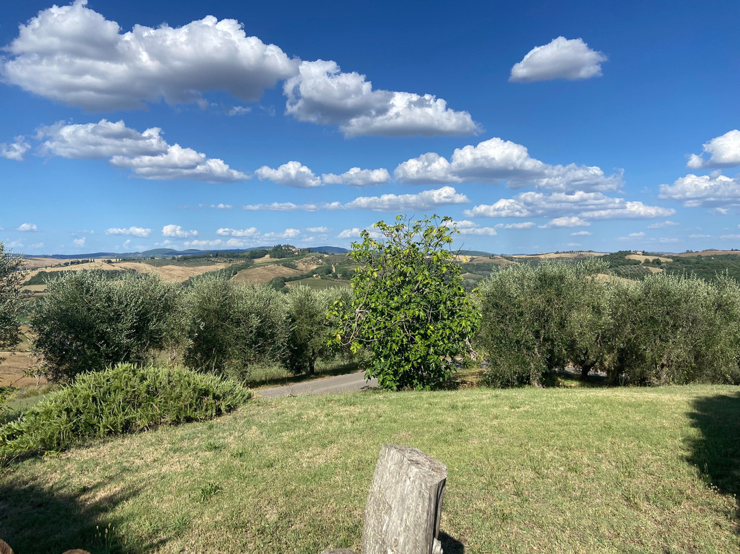 Farm Holiday La Canonica主图