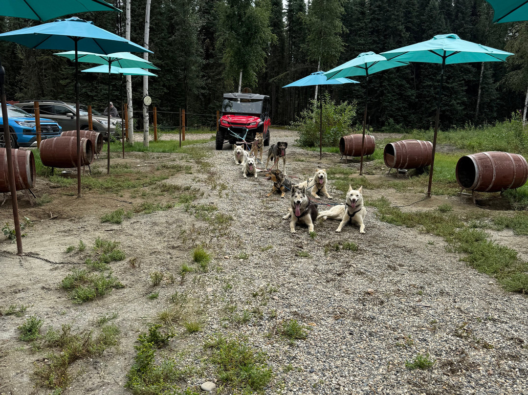 Last Frontier Mushing Co-op-费尔班克斯必去景点