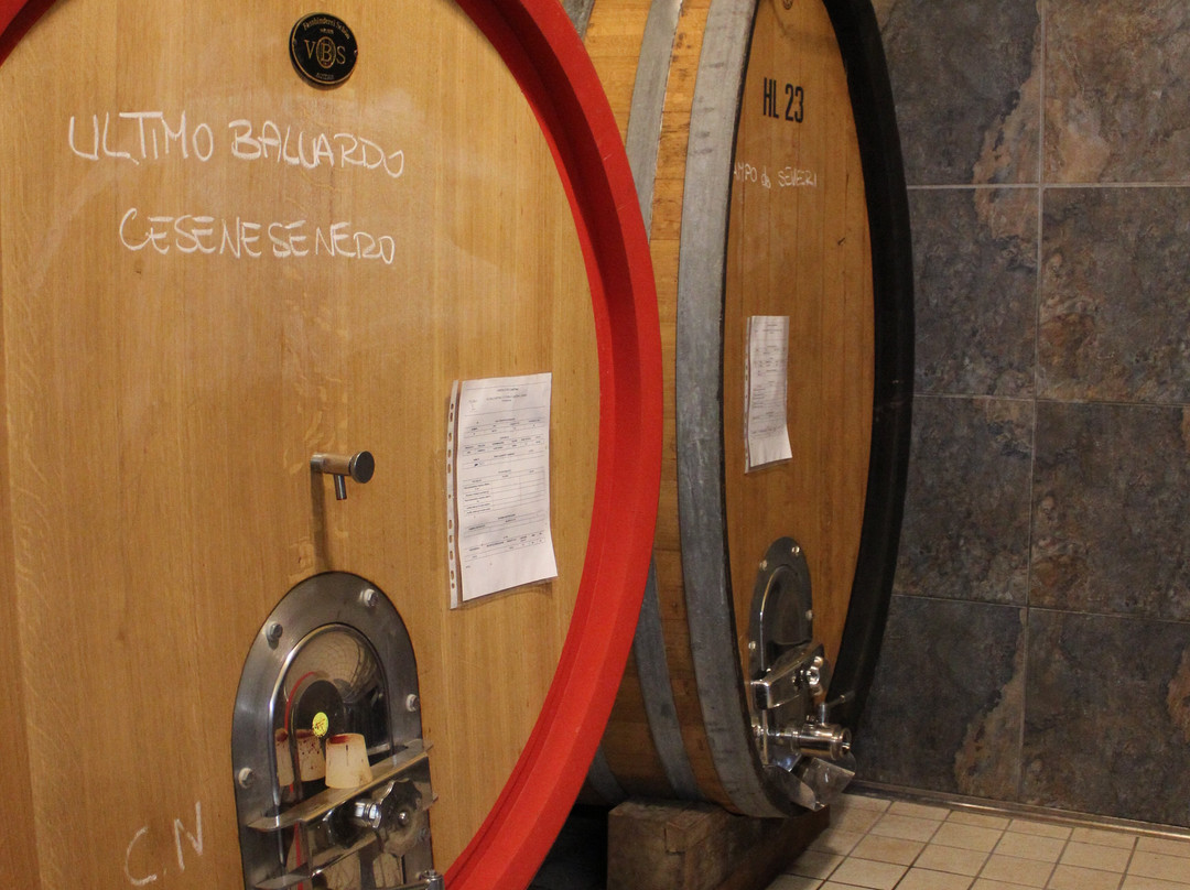 Le Macchie Winery-列蒂必去景点