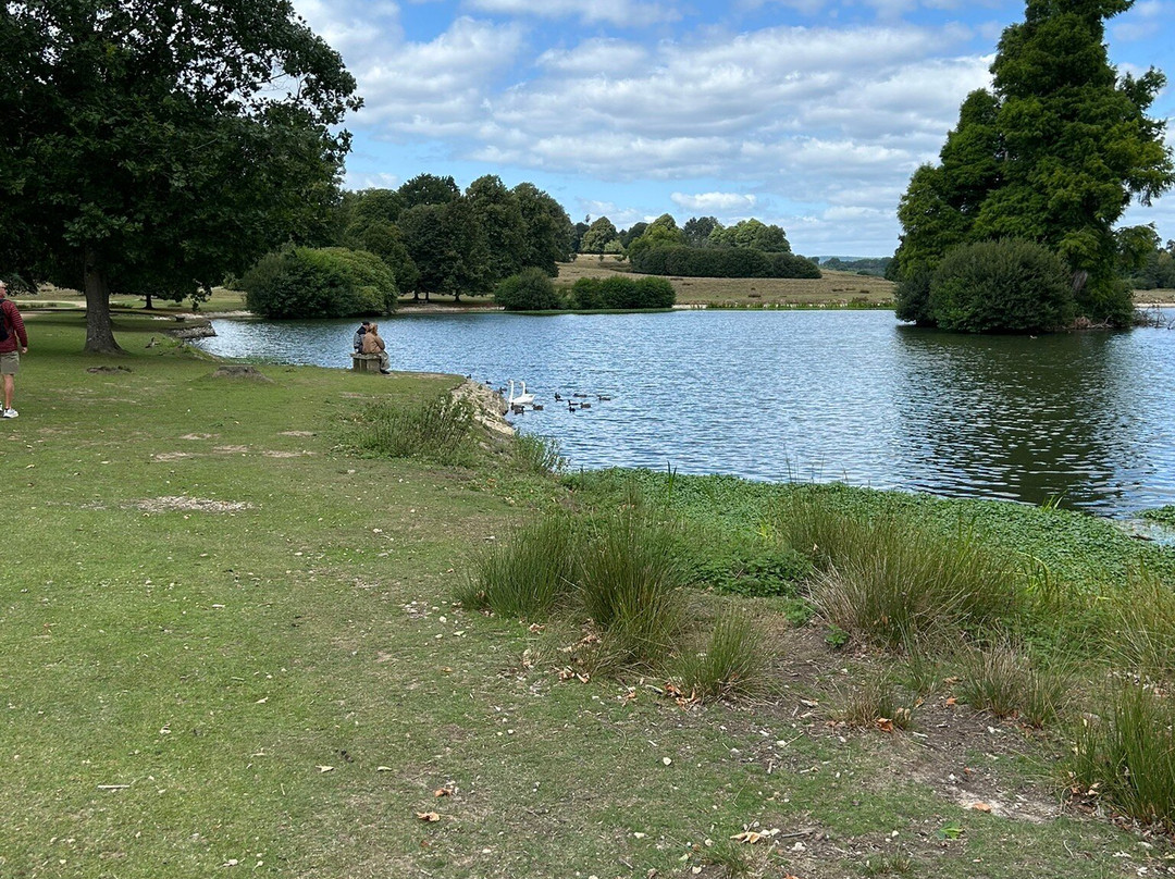 Petworth House and Park-佩特沃斯必去景点