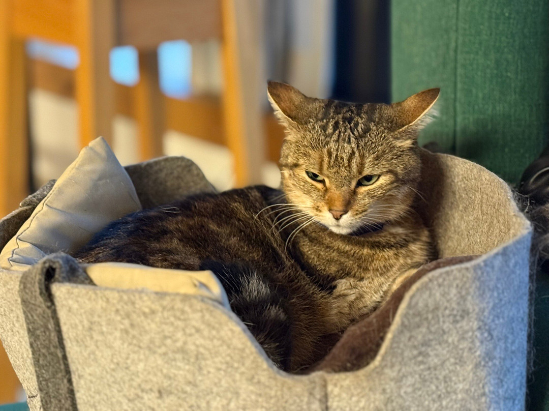 Hotel Fritsch am Berg主图