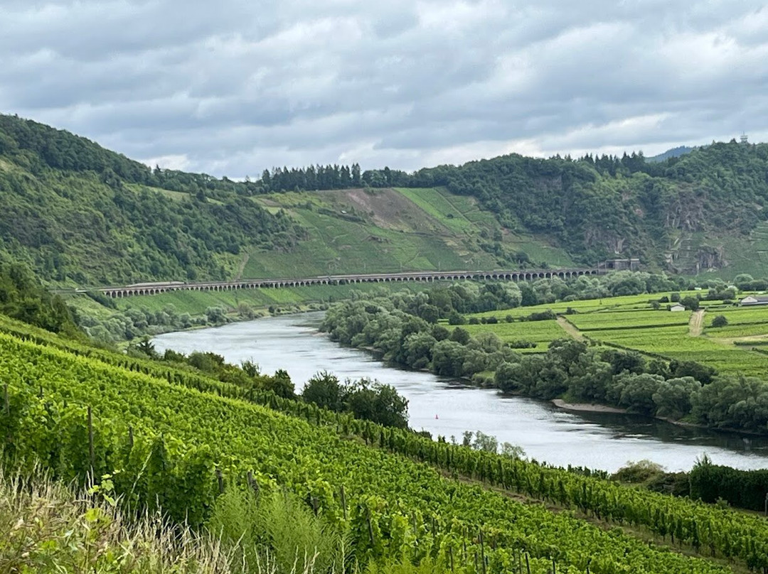 WeinBergHotel Nalbach Reil/Mosel主图