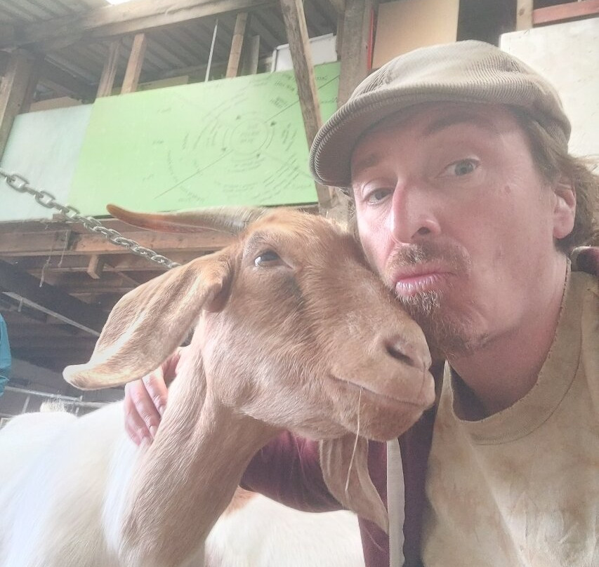 Cronkshaw Fold Farm-Rossendale必去景点