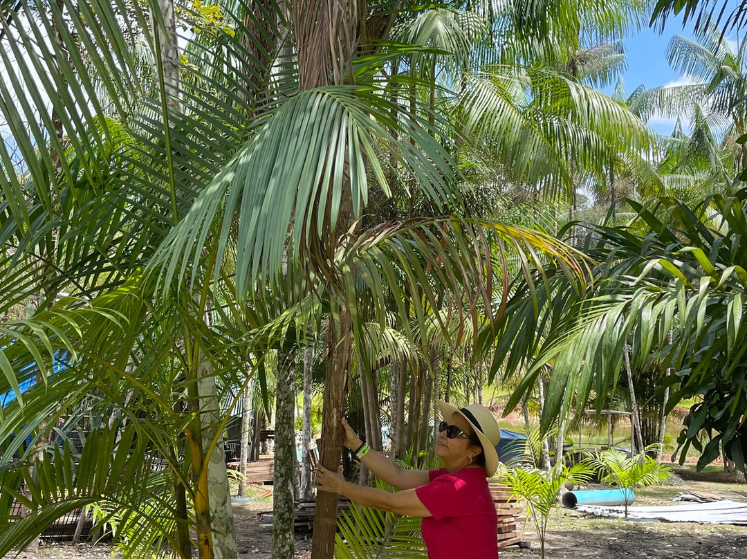 Guará Acqua Park-Santa Isabel Do Para必去景点