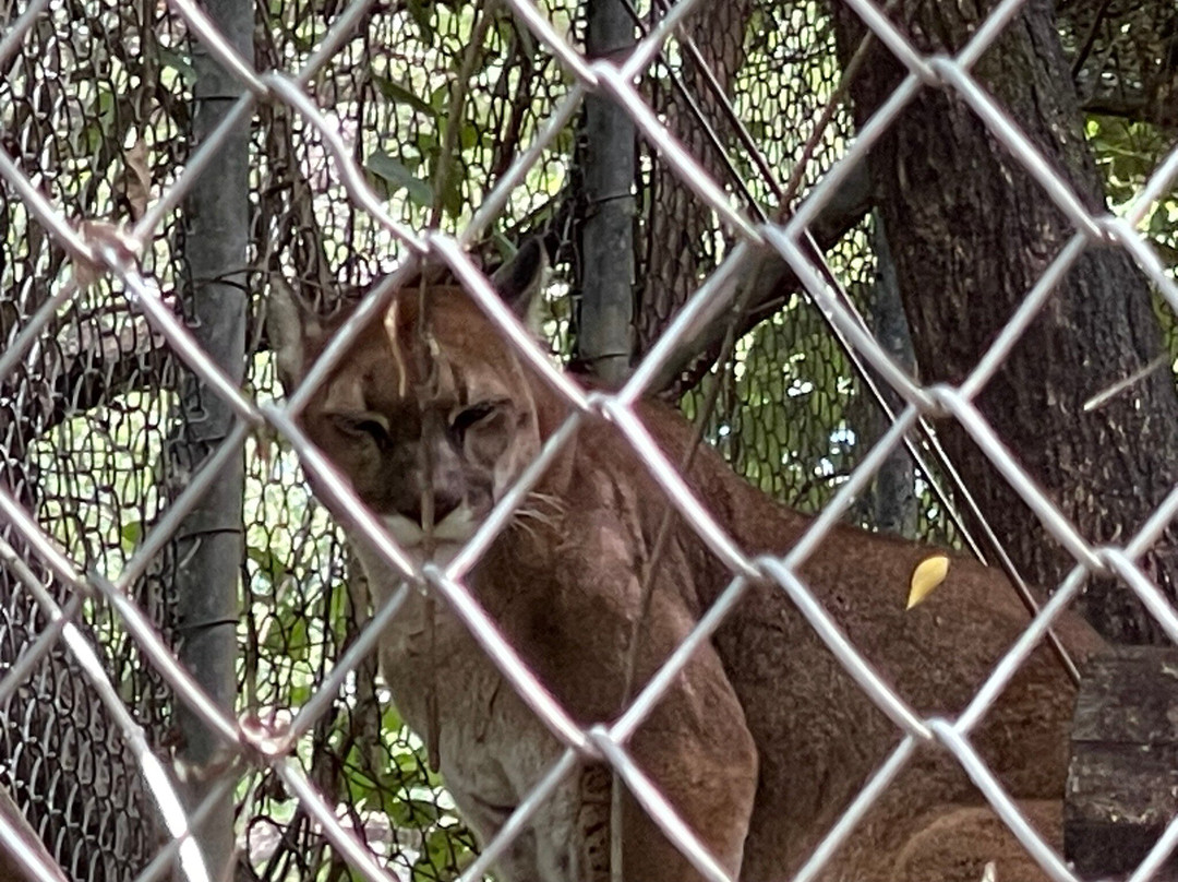 Centro de Rescate Las Pumas-Canas必去景点