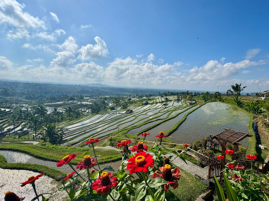 Jatiluwih Cycling & E-bike Tours With Bali By Pedals-达巴南必去景点