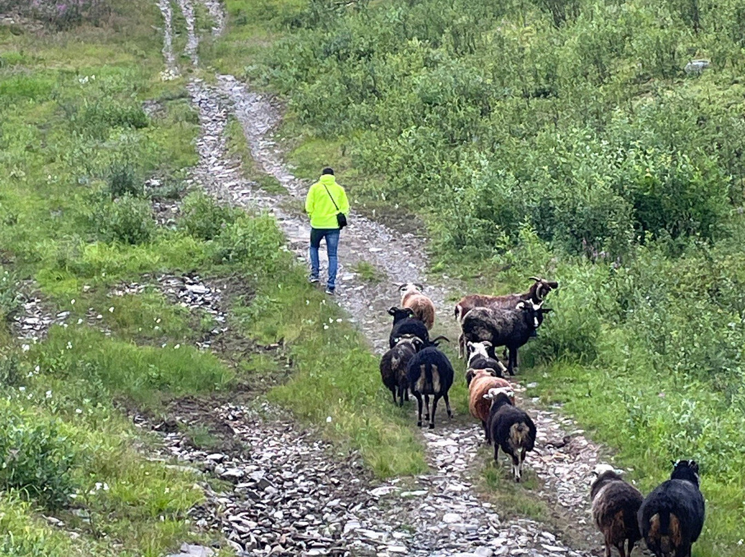 Bjornfjell Mountain Lodge主图