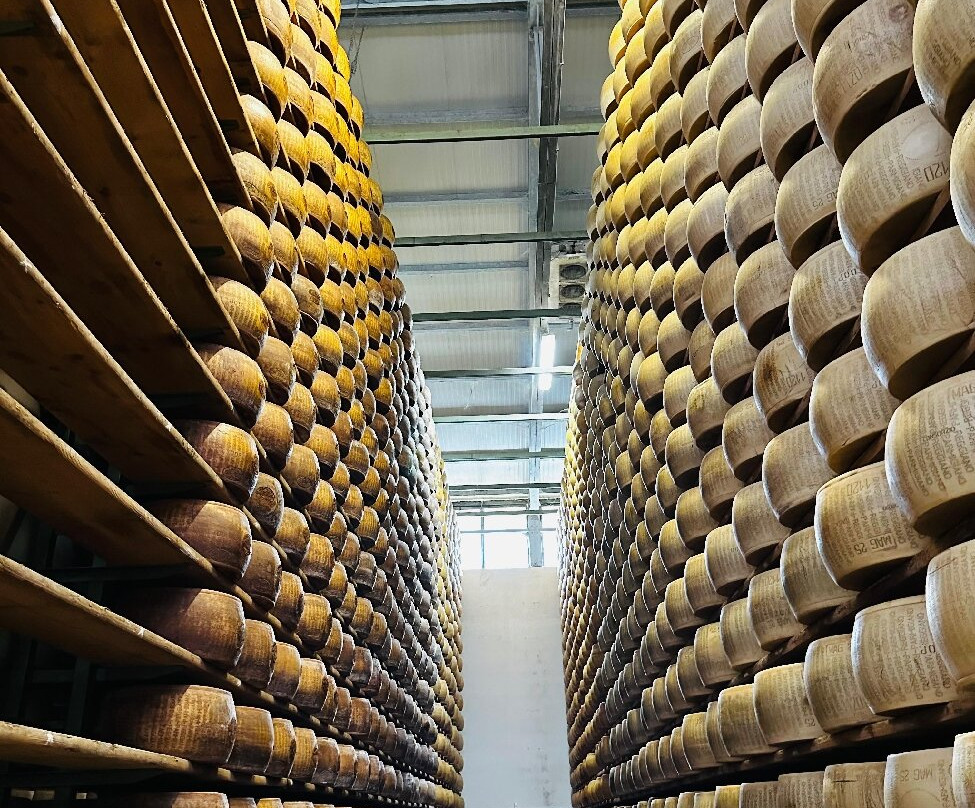 Azienda Agricola Moscattini-Formigine必去景点