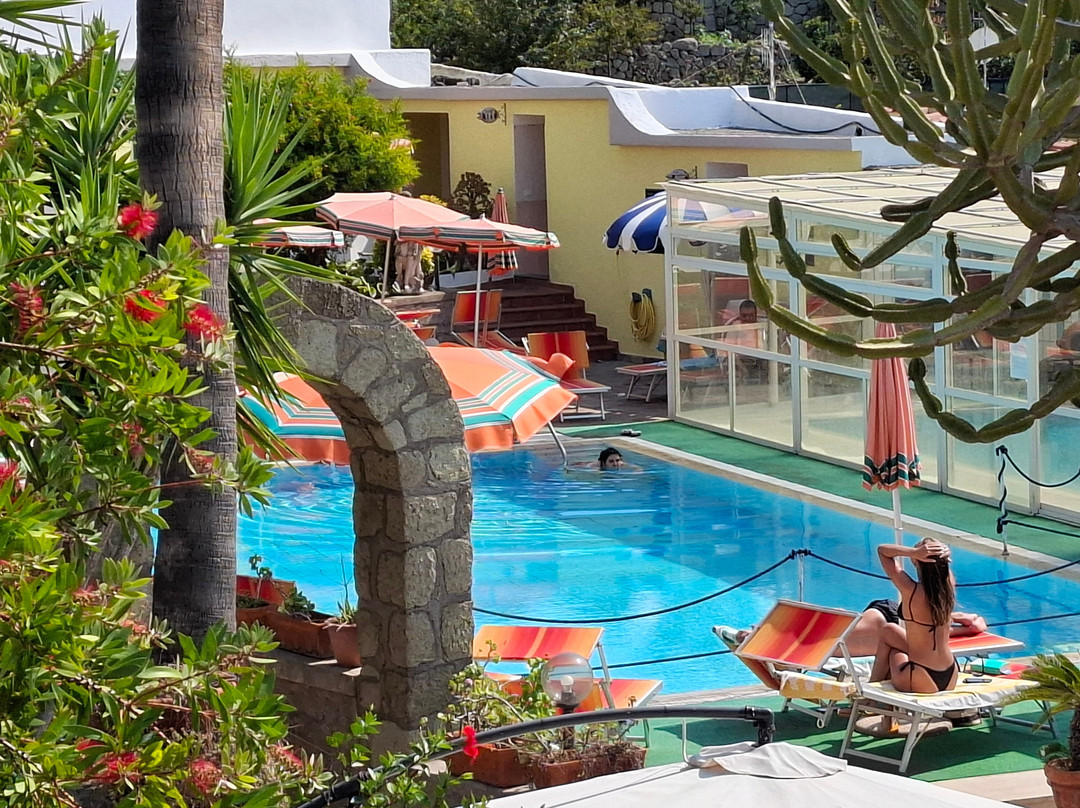 Hotel Villa Hibiscus主图