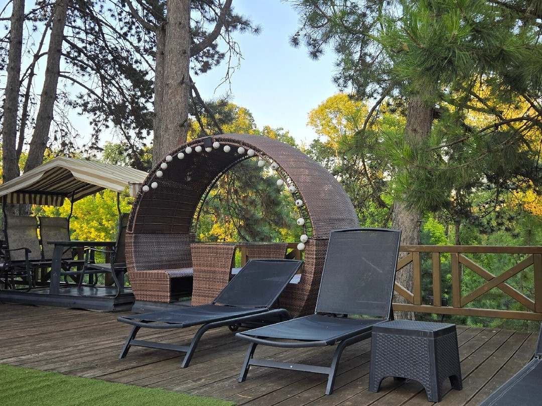 Hotel Borkovac主图