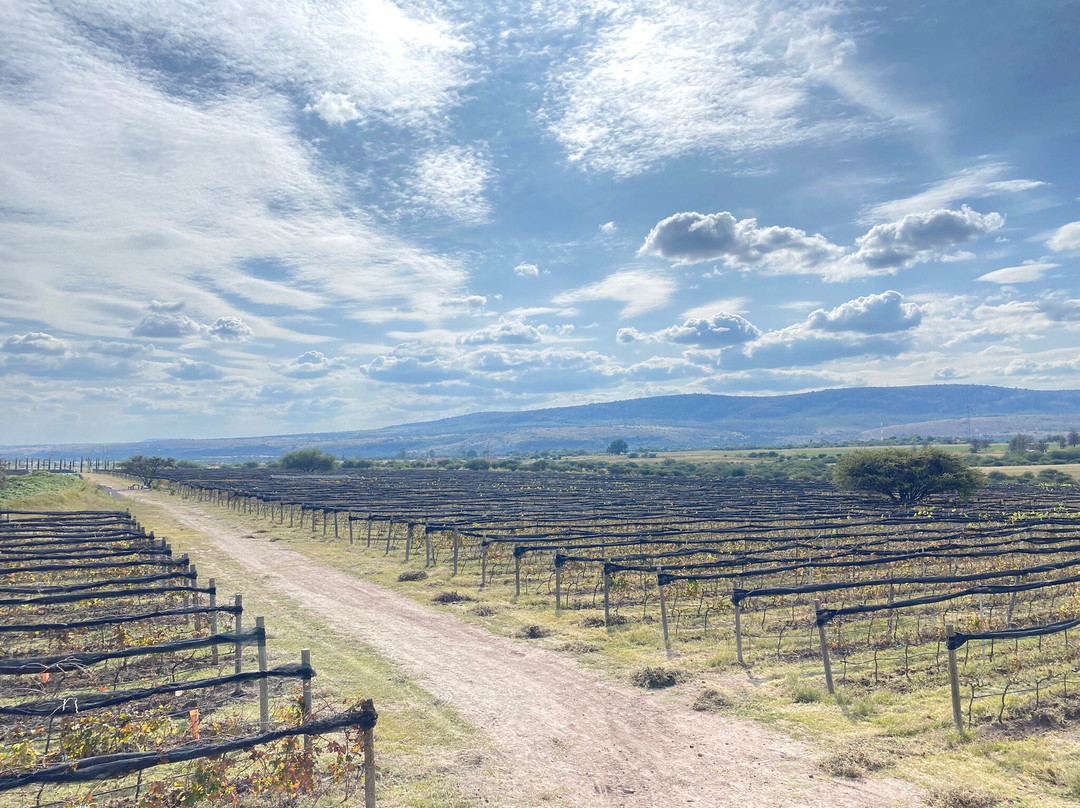 Tres Raíces-Dolores Hidalgo必去景点