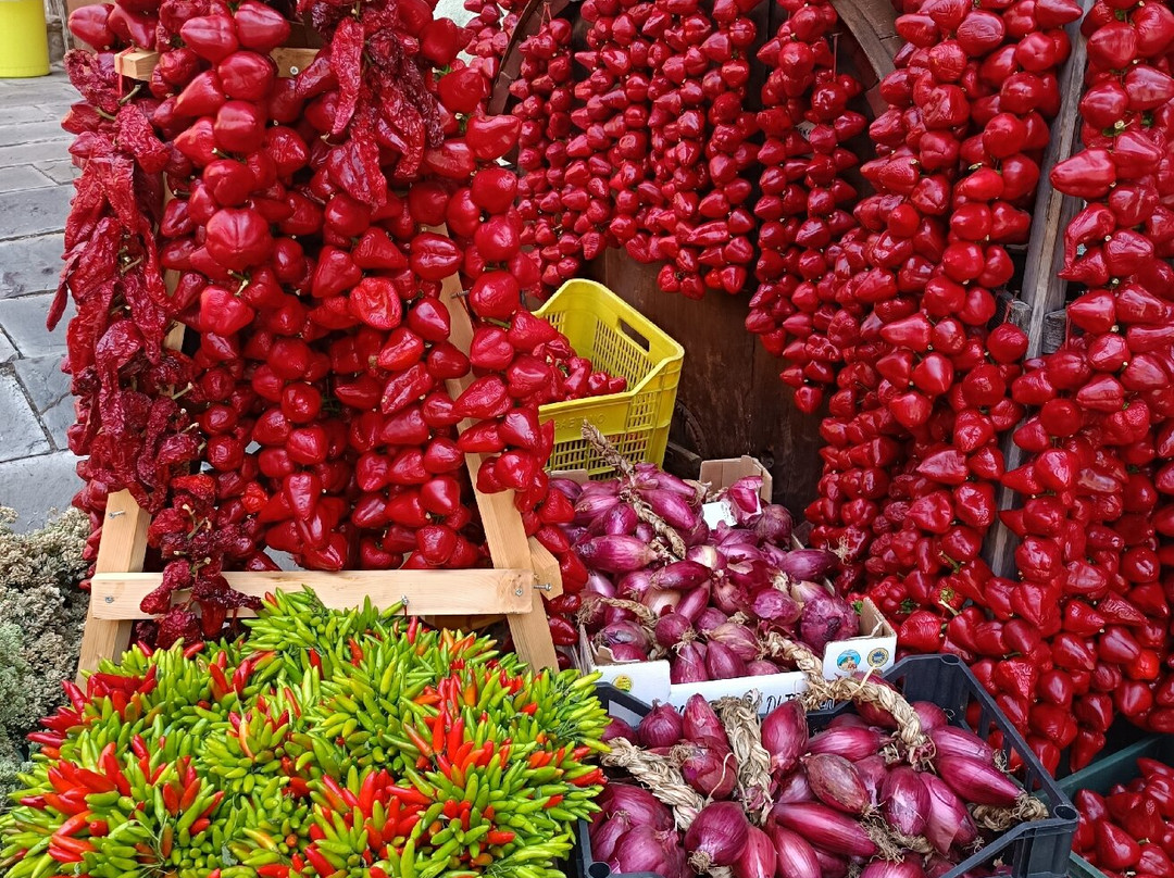 B&B Il Belvedere主图