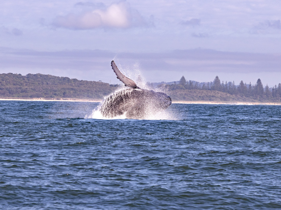 Out of The Blue Adventures-拜伦湾必去景点
