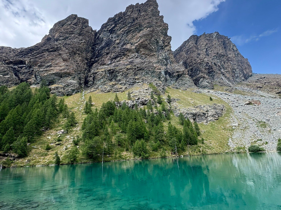 Aethos Monterosa主图