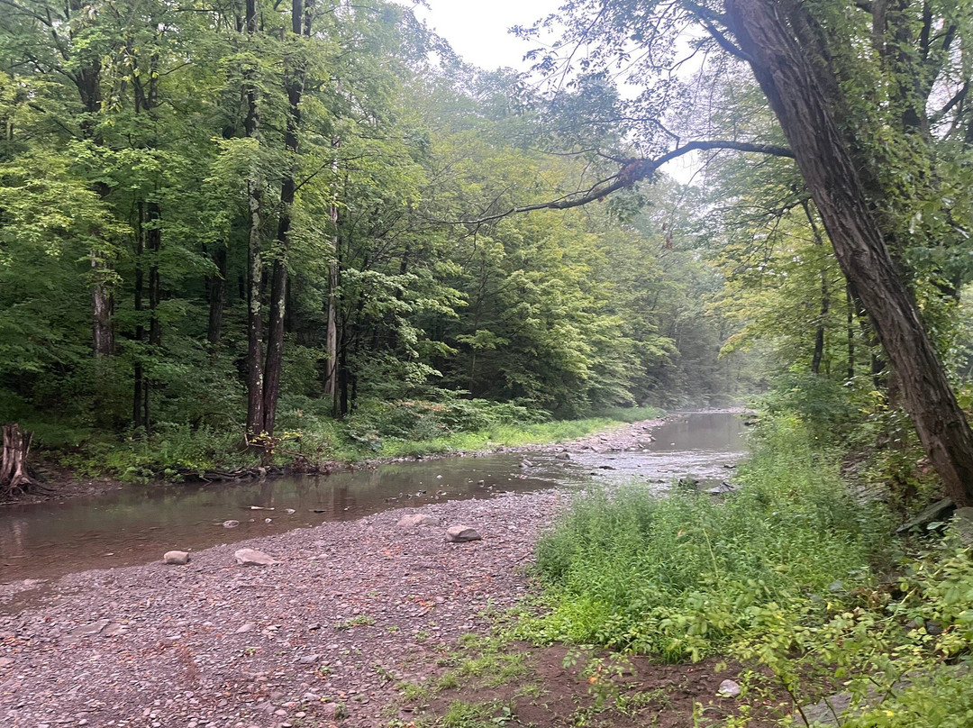 Angelo Canna Town Park-Cairo必去景点