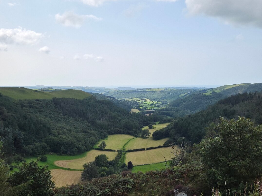 Bwlch Nant yr Arian Forest Visitor Centre-阿伯里斯特威斯必去景点