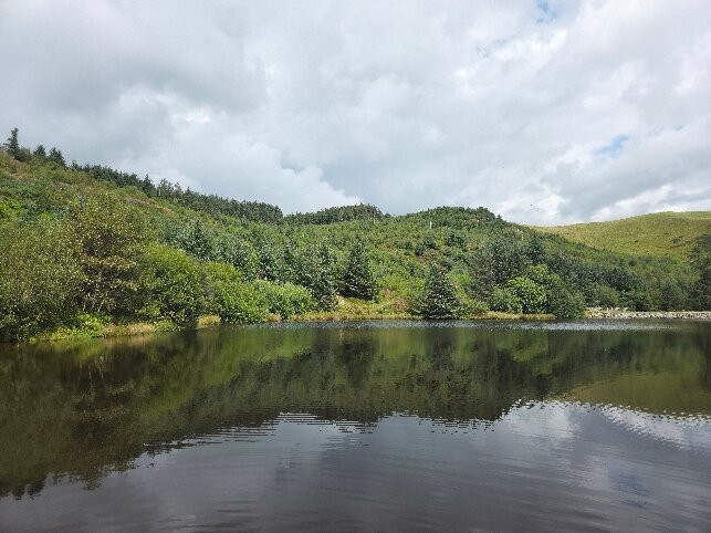 Bwlch Nant yr Arian Forest Visitor Centre-阿伯里斯特威斯必去景点