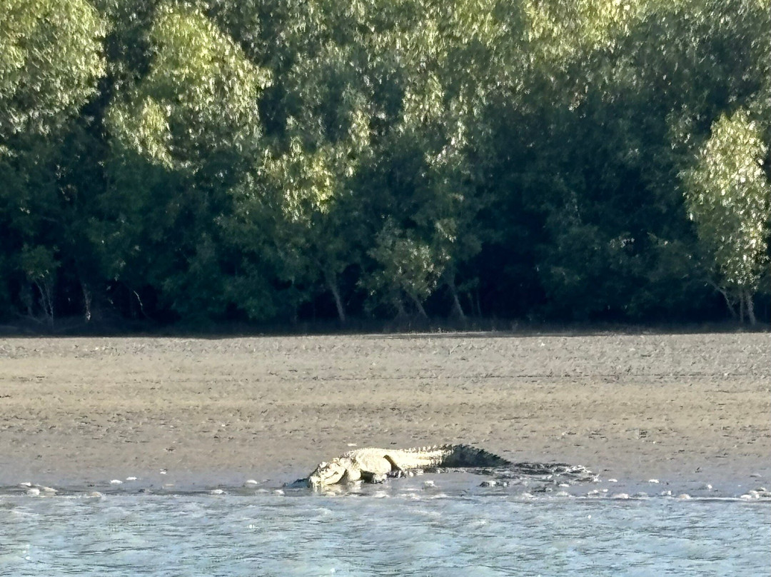 The Ferryman River Cruises-Karumba必去景点