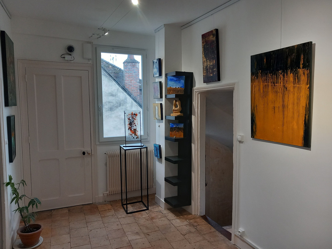 Galerie Victor Hugo-昂布瓦斯必去景点