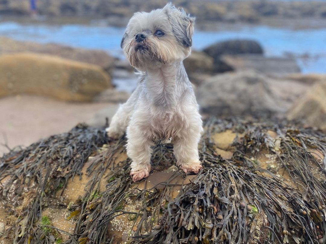 The Fox & Hounds主图