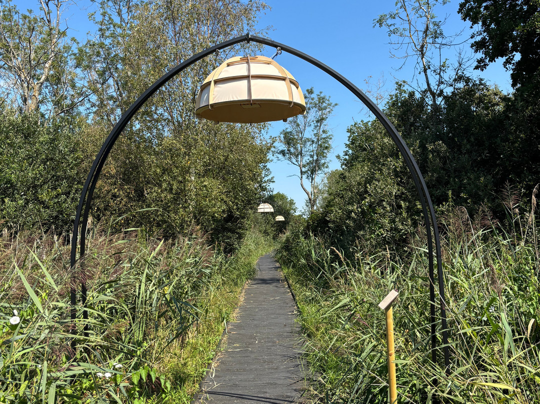 Wicken Fen National Nature Reserve-伊利必去景点