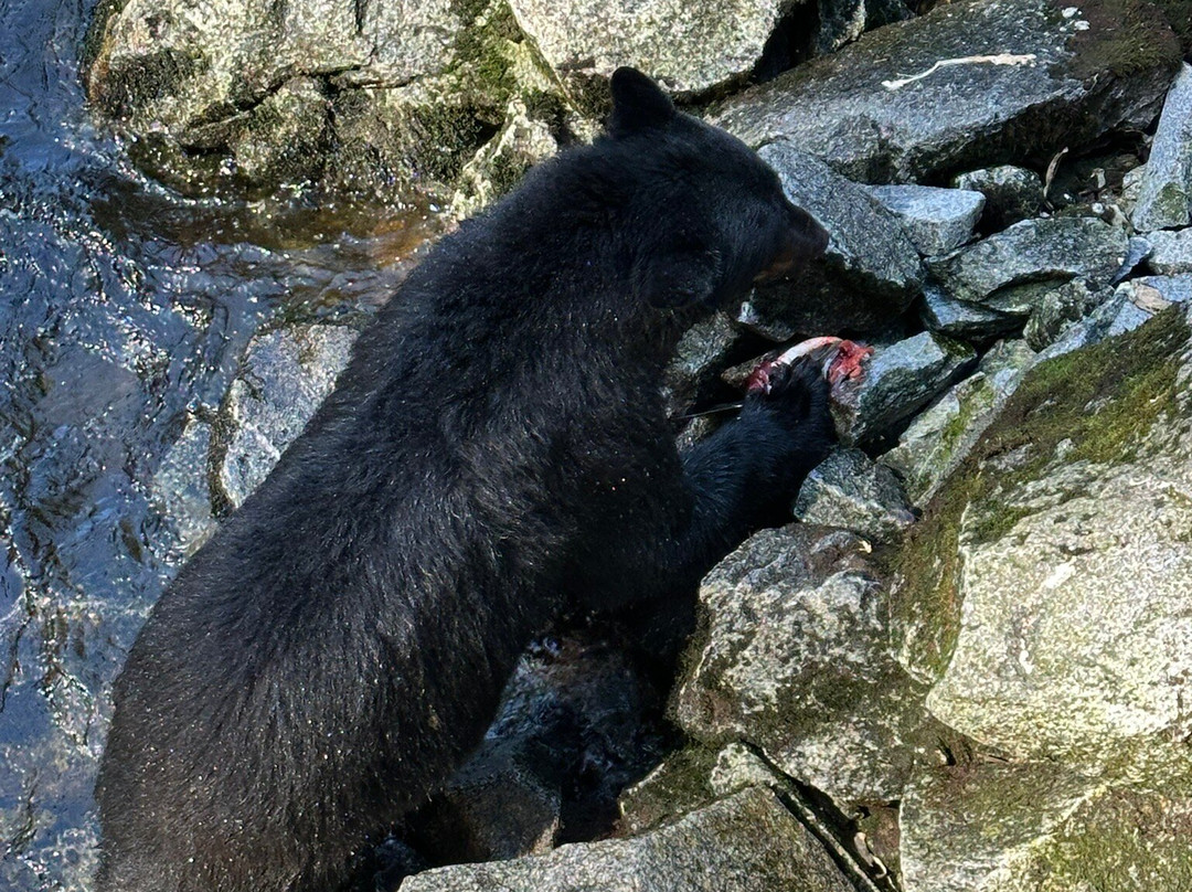 Alaska Vistas-Wrangell必去景点