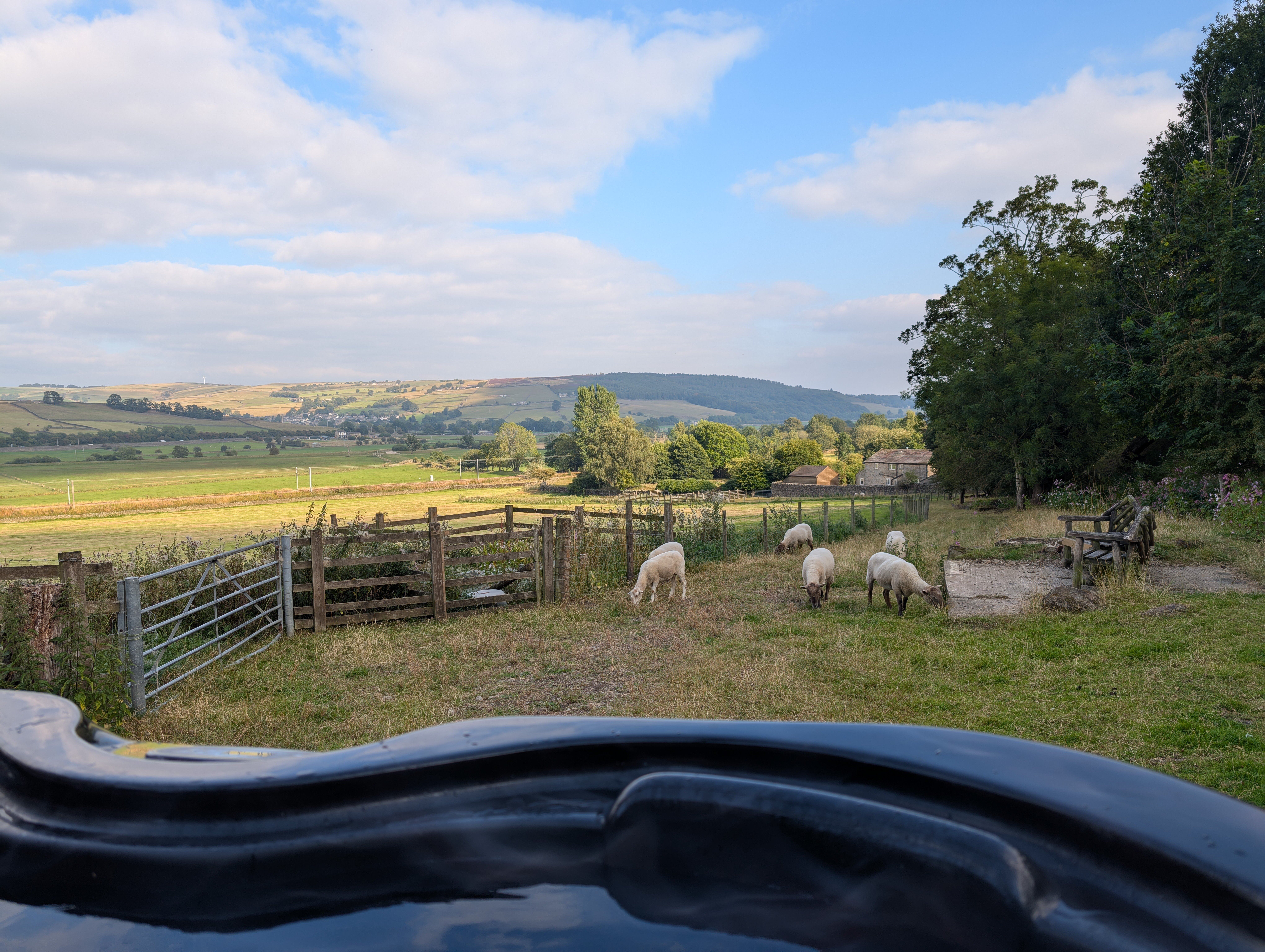 Throstle Nest Farm Bed and Breakfast-浴室