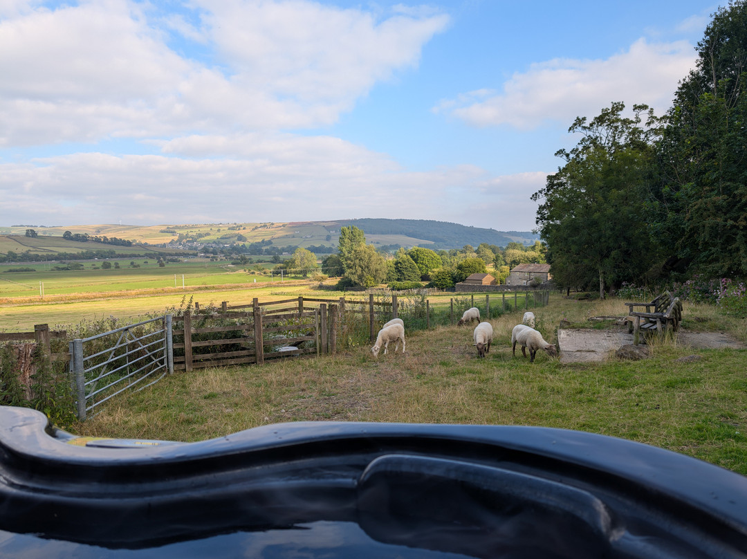 Throstle Nest Farm Bed and Breakfast主图